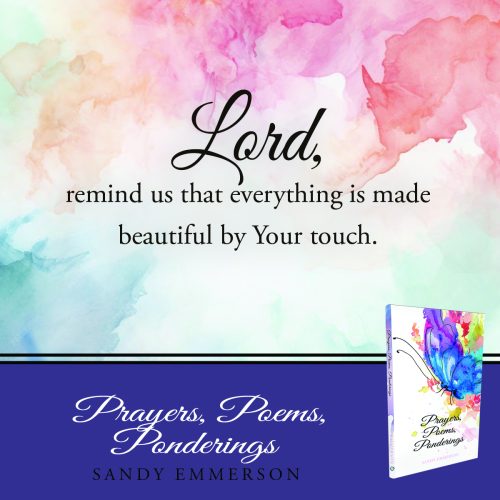 795673983-emmer-qc5-copy